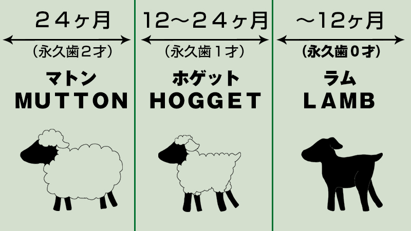 羊のまち、信州新町