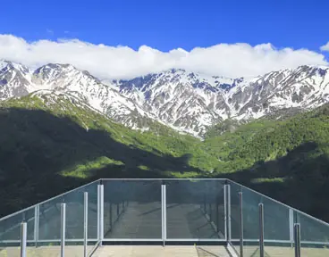 白馬