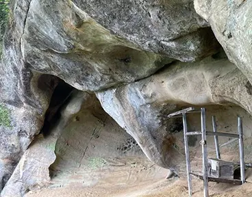 大姥山（おうばやま）登山