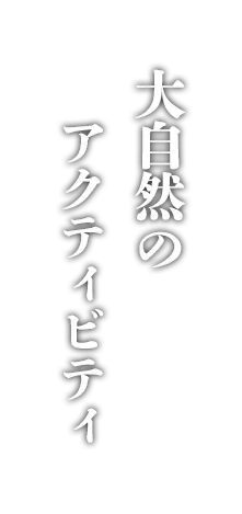アクティビティ